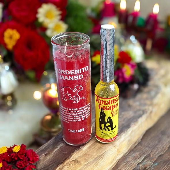 Tame Lamb Candle