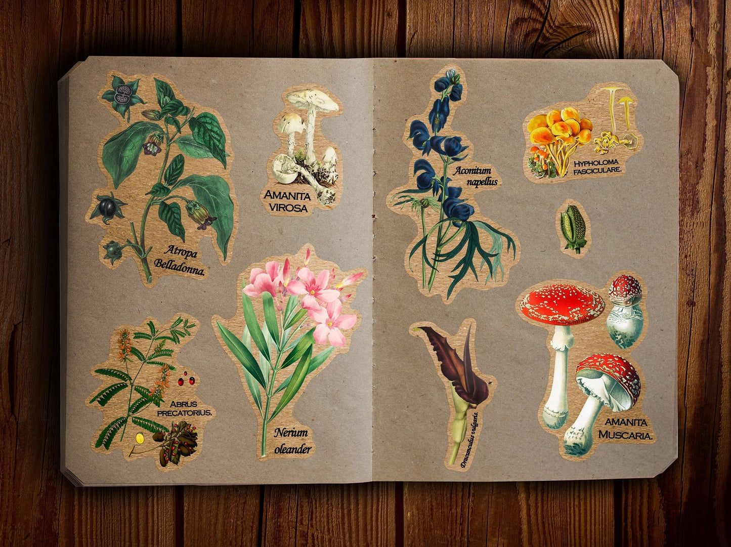 Poisonous Plants Sticker Sheet - Vintage Botany Mushroom: With J-Hook