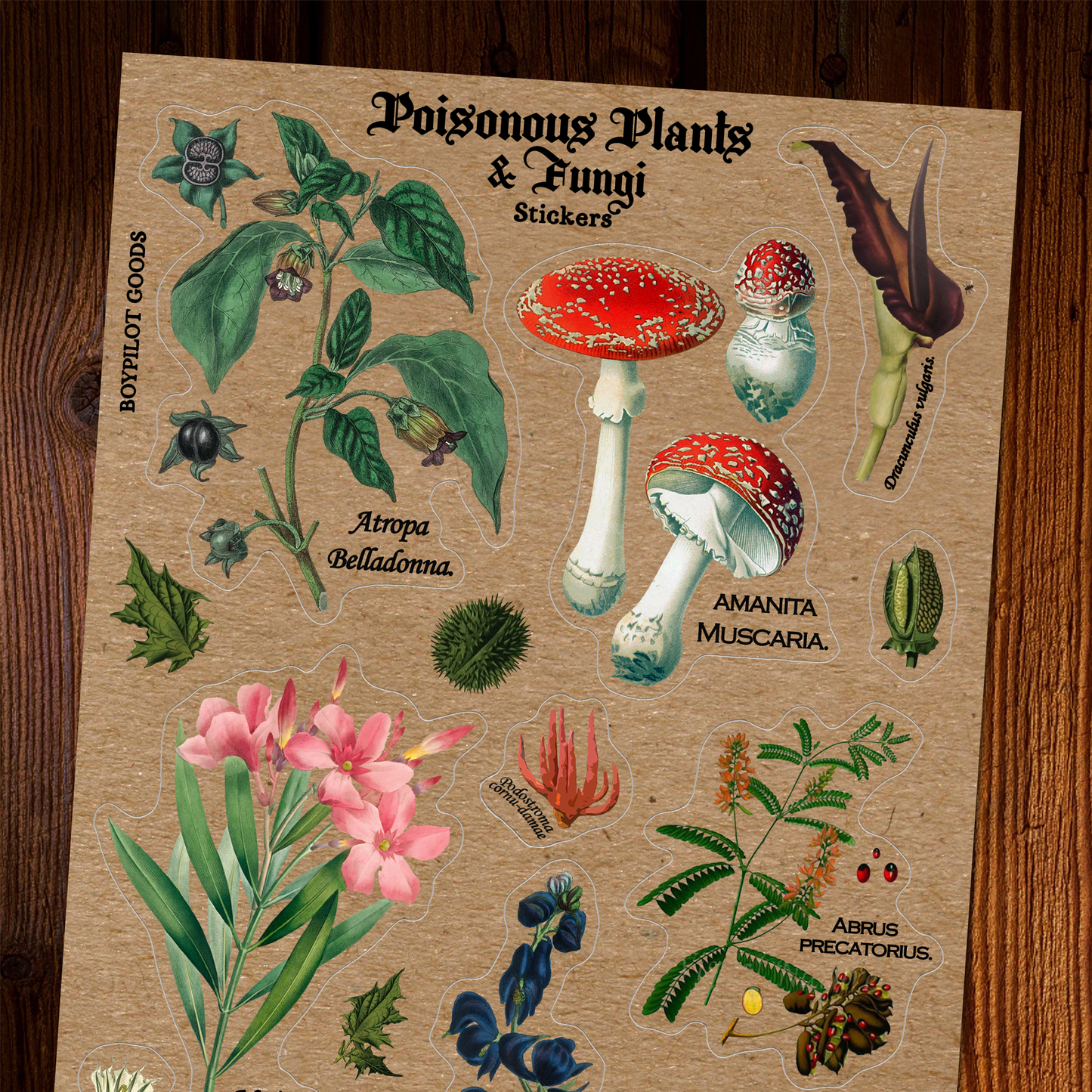 Poisonous Plants Sticker Sheet - Vintage Botany Mushroom: With J-Hook