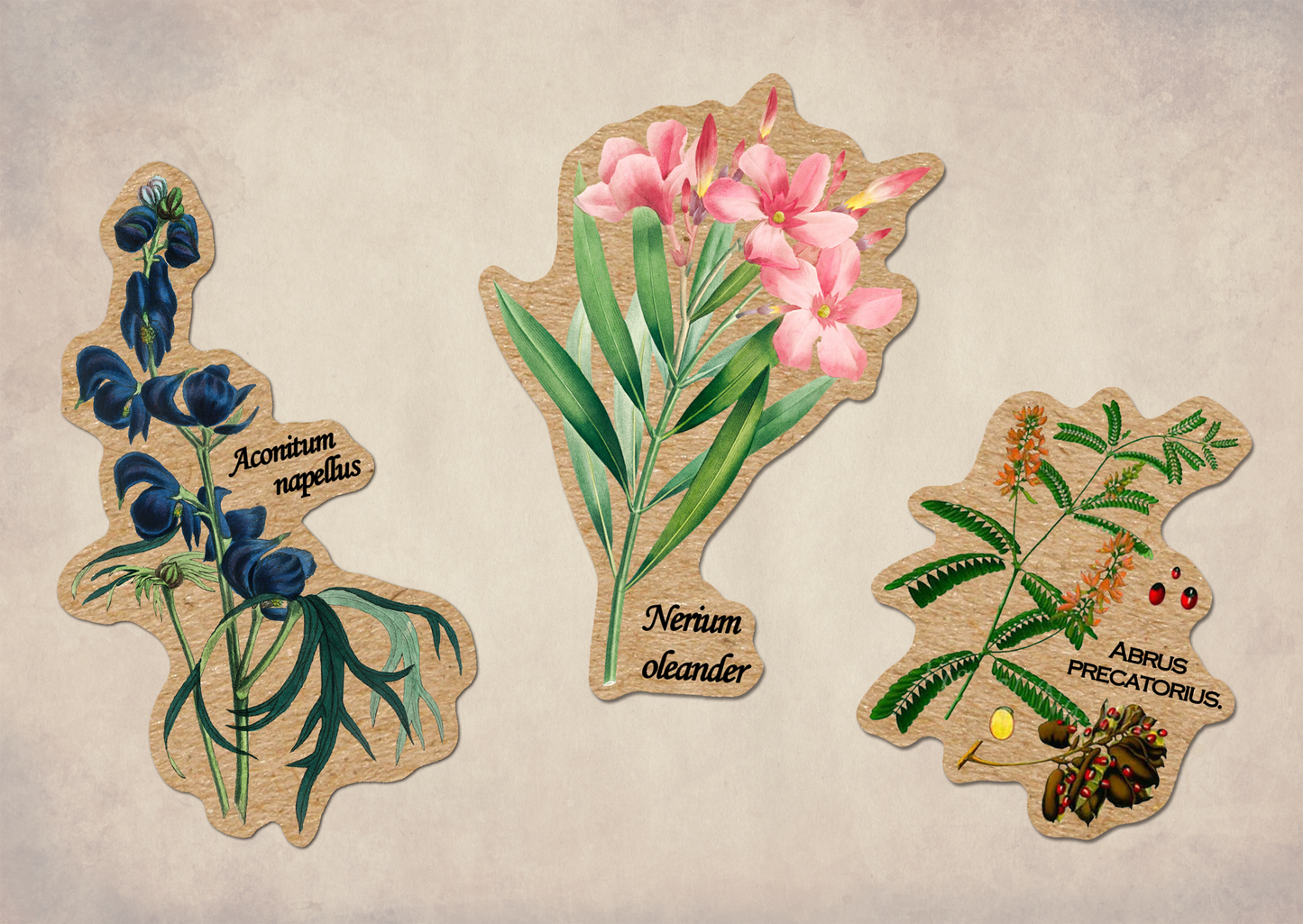 Poisonous Plants Sticker Sheet - Vintage Botany Mushroom: With J-Hook